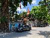 202407_Sontay/20240705-123147-0.JPG 2210KB
