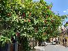 202407_Sontay/20240705-130341-0.JPG 2055KB