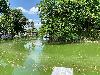 202407_Sontay/20240705-131037-0.JPG 2618KB