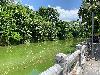 202407_Sontay/20240705-131039-0.JPG 2763KB