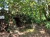 202407_Sontay/20240705-131657-0.JPG 2732KB