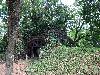 202407_Sontay/20240705-132813-0.JPG 3135KB