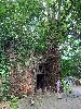 202407_Sontay/20240705-133119-0.JPG 2513KB