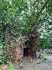 202407_Sontay/20240705-133119-1.JPG 2590KB