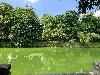 202407_Sontay/20240705-133752-0.JPG 2358KB