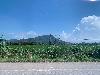 202407_Thanhhoa/20240707-144046-0.JPG 1164KB