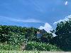 202407_Thanhhoa/20240707-145807-0.JPG 1440KB
