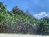 202407_Thanhhoa/20240707-145817-0.JPG 2066KB