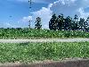 202407_Thanhhoa/20240707-145912-0.JPG 1728KB