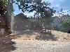 202407_Thanhhoa/20240707-150145-1.JPG 1511KB