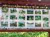 202407_Thanhhoa/20240707-151523-0.JPG 1834KB