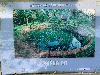 202407_Thanhhoa/20240707-151813-0.JPG 1873KB