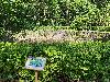 202407_Thanhhoa/20240707-151819-0.JPG 3447KB