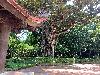 202407_Thanhhoa/20240707-152000-0.JPG 2738KB