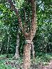 202407_Thanhhoa/20240707-153345-0.JPG 2886KB
