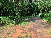 202407_Thanhhoa/20240707-153736-0.JPG 2776KB