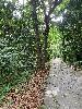 202407_Thanhhoa/20240707-154421-0.JPG 2595KB