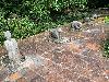 202407_Thanhhoa/20240707-154946-0.JPG 2794KB