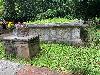 202407_Thanhhoa/20240707-154953-0.JPG 2911KB