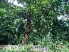 202407_Thanhhoa/20240707-155001-0.JPG 2923KB