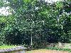 202407_Thanhhoa/20240707-155006-0.JPG 2475KB