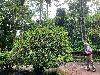 202407_Thanhhoa/20240707-155012-0.JPG 2924KB