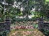 202407_Thanhhoa/20240707-155412-0.JPG 3184KB