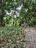 202407_Thanhhoa/20240707-155521-0.JPG 3027KB