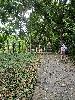 202407_Thanhhoa/20240707-155525-0.JPG 2865KB