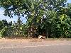 202407_Thanhhoa/20240707-164306-0.JPG 1888KB