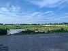 202407_Thanhhoa/20240707-165958-0.JPG 1021KB