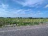 202407_Thanhhoa/20240707-170005-0.JPG 1192KB