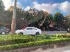 202407_Thanhhoa/20240707-172146-0.JPG 1221KB