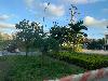 202407_Thanhhoa/20240707-175847-0.JPG 1275KB