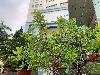 202407_Thanhhoa/20240708-070818-0.JPG 2004KB