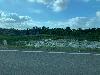 202407_Thanhhoa/20240708-074110-0.JPG 1334KB