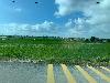 202407_Thanhhoa/20240708-074256-0.JPG 1088KB