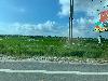 202407_Thanhhoa/20240708-074259-0.JPG 1219KB