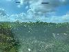 202407_Thanhhoa/20240708-074643-0.JPG 1154KB