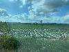 202407_Thanhhoa/20240708-074645-0.JPG 1277KB