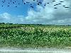 202407_Thanhhoa/20240708-074753-0.JPG 1520KB