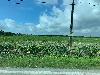 202407_Thanhhoa/20240708-074802-0.JPG 1533KB