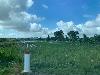 202407_Thanhhoa/20240708-075635-0.JPG 1000KB