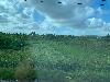 202407_Thanhhoa/20240708-075653-0.JPG 1260KB