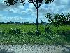 202407_Thanhhoa/20240708-075747-0.JPG 2104KB