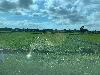 202407_Thanhhoa/20240708-075751-0.JPG 1426KB
