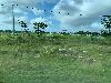 202407_Thanhhoa/20240708-080002-0.JPG 1332KB