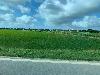 202407_Thanhhoa/20240708-080006-0.JPG 1077KB