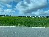 202407_Thanhhoa/20240708-080008-0.JPG 1071KB