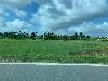 202407_Thanhhoa/20240708-080015-0.JPG 999KB